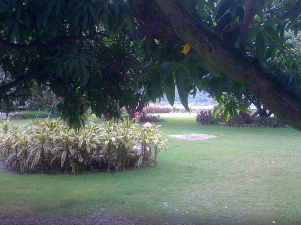 Dewdrop Mango Bloom Resort Nainital Chambre photo